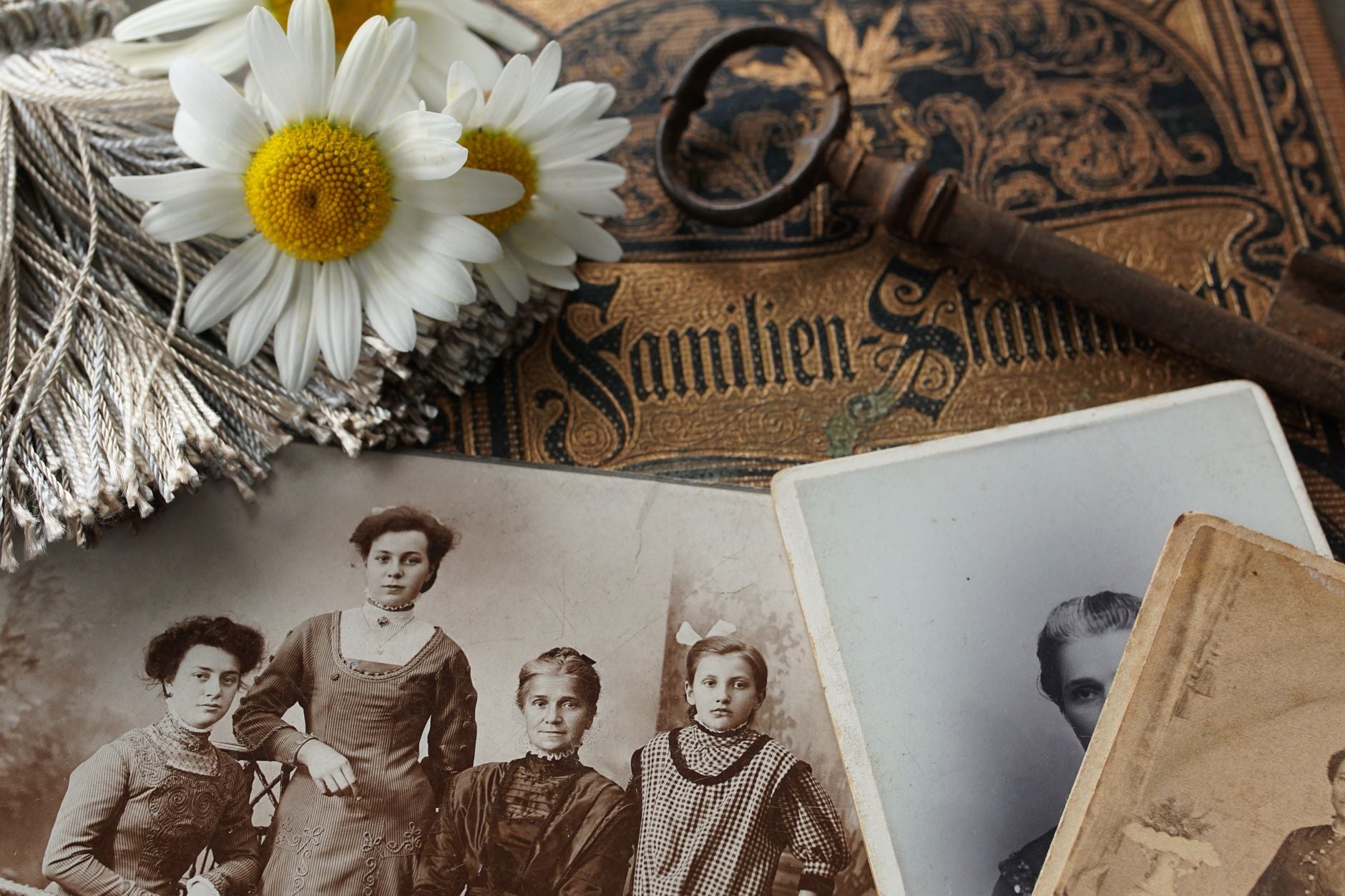 Eski bir sandıktan çıkmış, kenarları solmuş siyah-beyaz aile fotoğraflarının bir masaya dizilmiş hâli — ailede tekrar eden bir örüntüyü düşünen biri için
