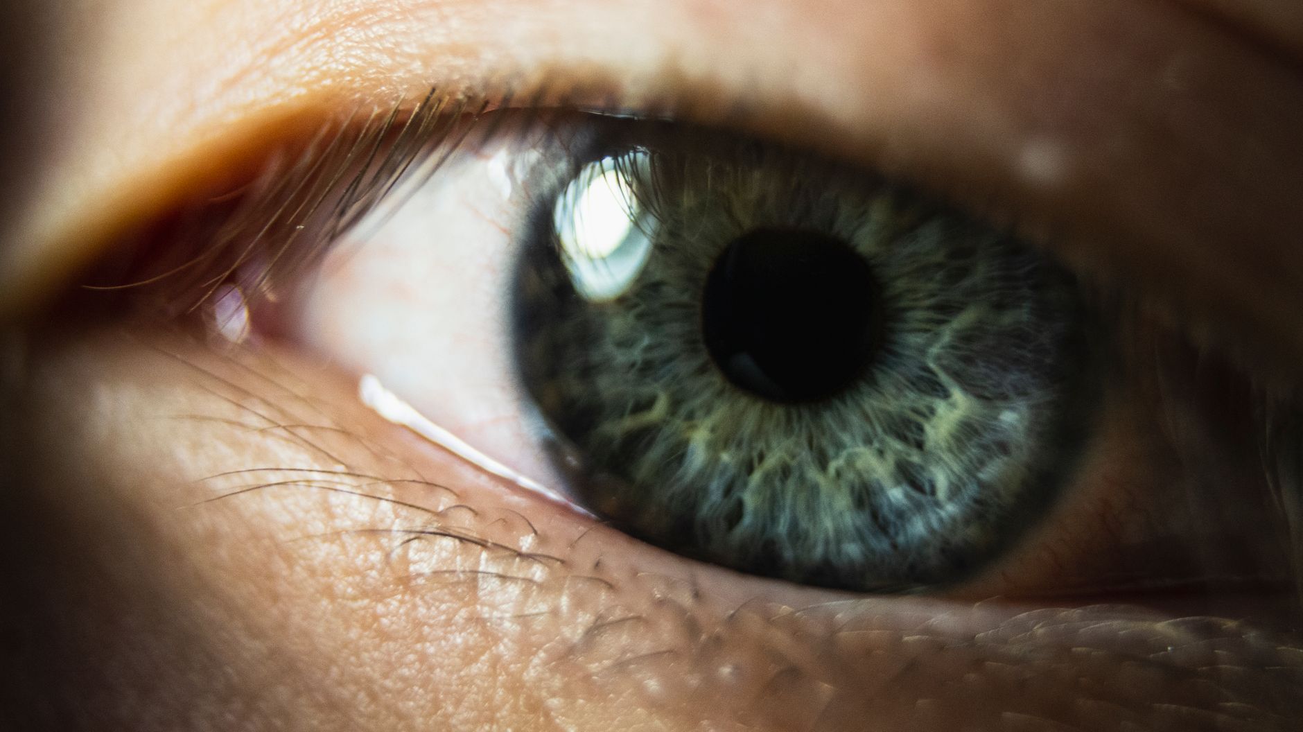 Close-up of a human eye — attention as the point of contact that selects reality
